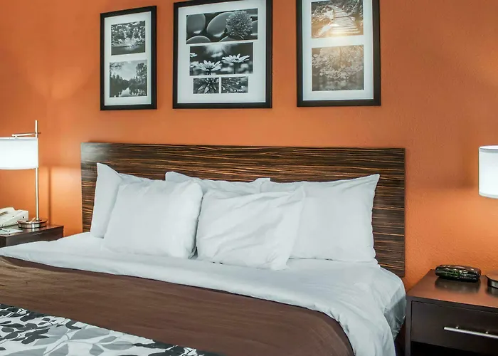 Gasthof Sleep Ashley Phosphate 3*